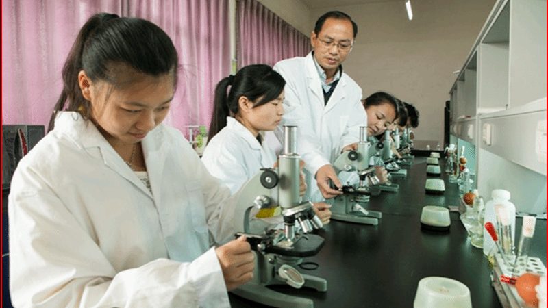 制药与食品设备：揭秘行业排名背后的逻辑**